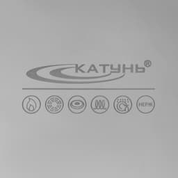 Котёл Катунь «Общепит», 30 л, d=40 см, h=28 см, с крышкой, капсульное дно, индукция, нержавеющая сталь, хромированная