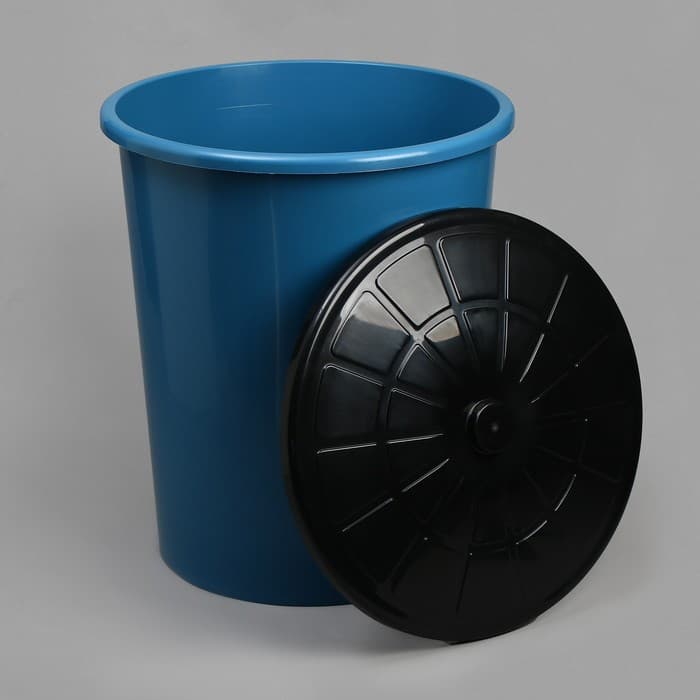 Бак хозяйственно - бытовой, 100 л, пластиковый, с крышкой, синий