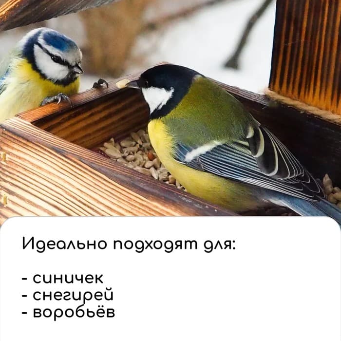 Кормушка для птиц, 17×10.5×15.5 см, Greengo