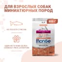 Сухой корм Monge Dog Speciality Extra Small для собак, лосось/рис, 800 г