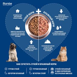 Сухой корм Monge Dog Speciality Extra Small для собак, лосось/рис, 800 г