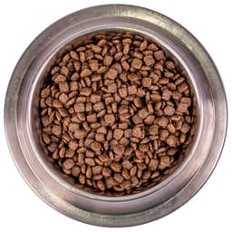 Сухой корм для собак мелких пород Monge Dog Speciality Mini, лосось, рис, 7.5 кг