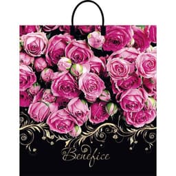 Пакет «Бенефис», полиэтиленовый с пластиковой ручкой, 40×44, 100 мкм