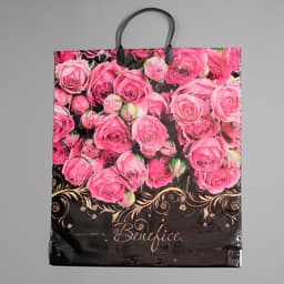 Пакет «Бенефис», полиэтиленовый с пластиковой ручкой, 40×44, 100 мкм