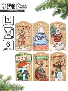 Шильдик декоративный в наборе «Снежные истории», 9×5 см