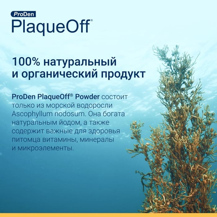 Средство для профилактики зубного камня ProDen PlaqueOff для кошек, 40 г