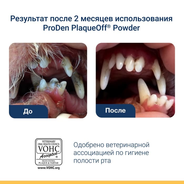Средство для собак и кошек ProDen PlaqueOf для профилактики зубного камня, 40 г