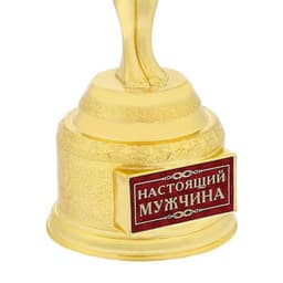 Кубок наградная фигура мужская «Настоящий мужчина», оскар, пластик, 18 см