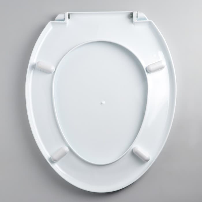 Сиденье для унитаза с крышкой «Декор. Пальма», 44.5×37 см, белое