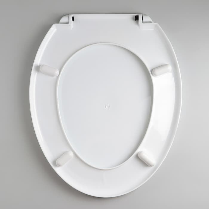 Сиденье для унитаза с крышкой «Декор. Яблоко», 44.5×37 см, белое