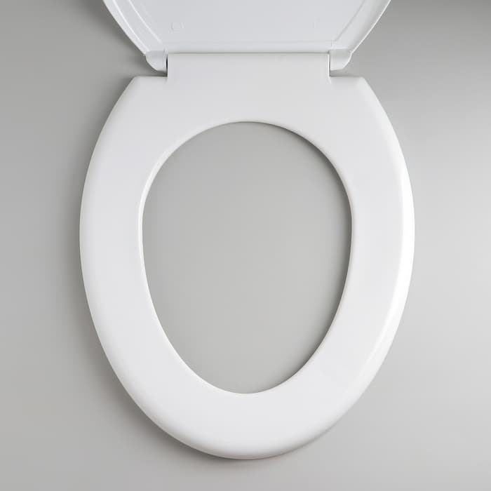 Сиденье для унитаза с крышкой «Декор. Яблоко», 44.5×37 см, белое