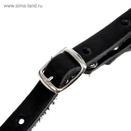 Намордник кожаный №4, сетчатый, с перемычкой, ротвейлер, длина по носу 9 см, обхват морды 34 см