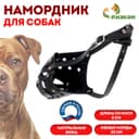Намордник кожаный цельнокроенный, питбультерьер, ДН 8 см, ОМ 30 см, чёрный