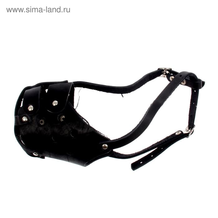 Намордник кожаный цельнокроенный, питбультерьер, ДН 8 см, ОМ 30 см, чёрный
