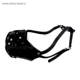 Намордник кожаный цельнокроенный, питбультерьер, ДН 8 см, ОМ 30 см, чёрный