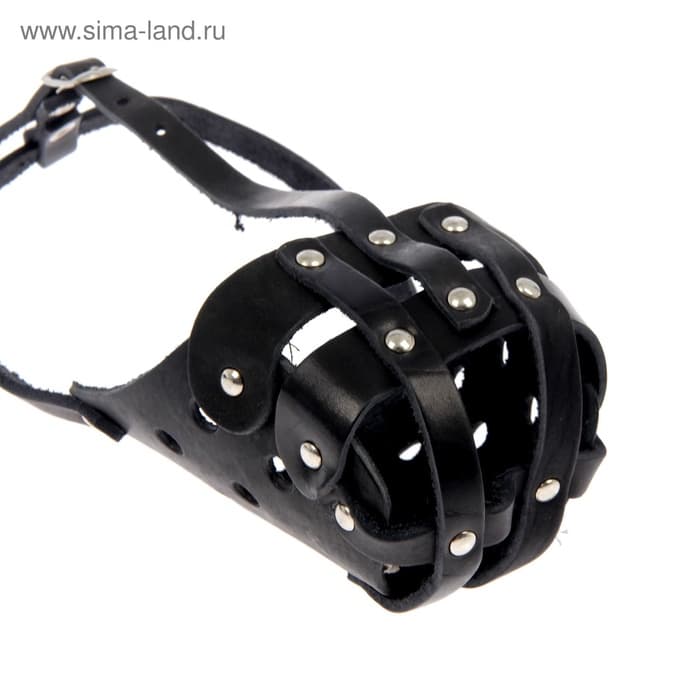 Намордник кожаный цельнокроенный, питбультерьер, ДН 8 см, ОМ 30 см, чёрный