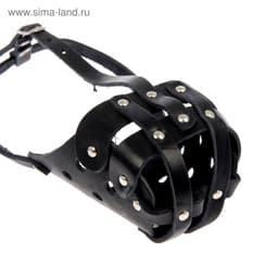 Намордник кожаный цельнокроенный, питбультерьер, ДН 8 см, ОМ 30 см, чёрный