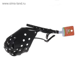 Намордник кожаный цельнокроенный, питбультерьер, ДН 8 см, ОМ 30 см, чёрный
