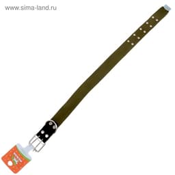 Ошейник брезентовый однослойный, 84×4.5 см, ОШ 50-70 см, хаки