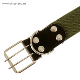 Ошейник брезентовый однослойный, 84×4.5 см, ОШ 50-70 см, хаки