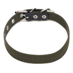 Ошейник брезентовый однослойный, 50×2 см, ОШ 25-35 см, хаки