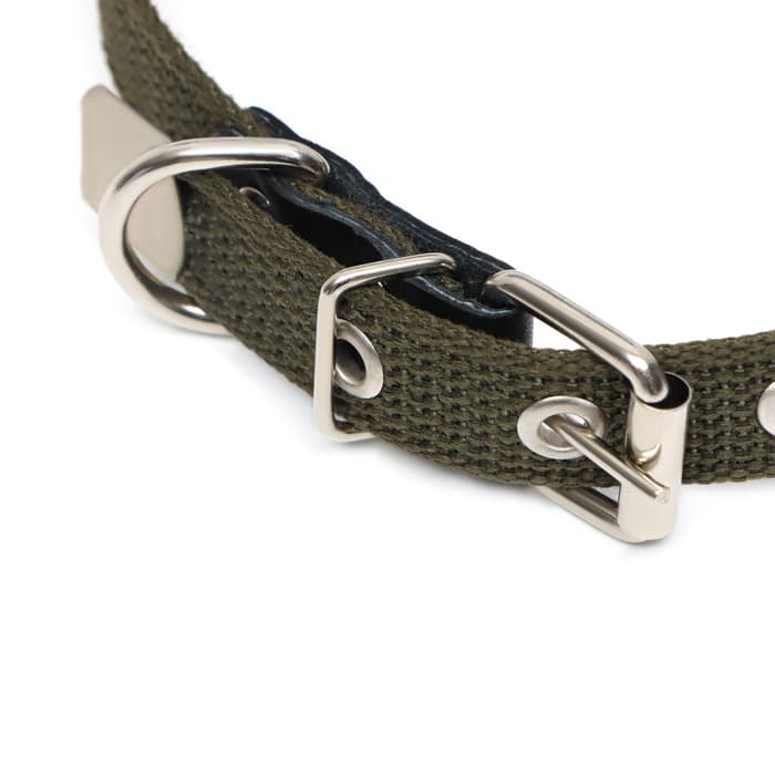 Ошейник брезентовый однослойный, 50×2 см, ОШ 25-35 см, хаки