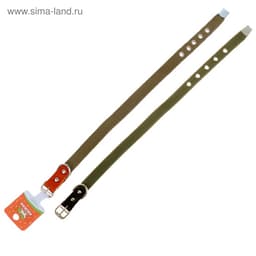Ошейник брезентовый однослойный, 50×2 см, ОШ 25-35 см, хаки