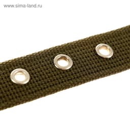 Ошейник брезентовый однослойный, 57×2.5 см, ОШ 35-45 см, хаки