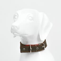 Ошейник брезентовый двухслойный, 72×3.5 см, ОШ 45-60 см, хаки