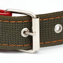 Ошейник брезентовый двухслойный, 72×3.5 см, ОШ 45-60 см, хаки