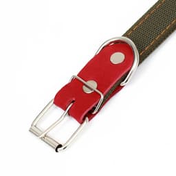 Ошейник брезентовый двухслойный, 72×3.5 см, ОШ 45-60 см, хаки