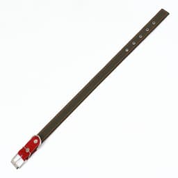 Ошейник брезентовый двухслойный, 72×3.5 см, ОШ 45-60 см, хаки