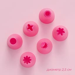 Набор кондитерский Доляна «Бирюза», 6 насадок (основание насадки 2.5 см), 29×19×3.5 см, насадки и МИКС