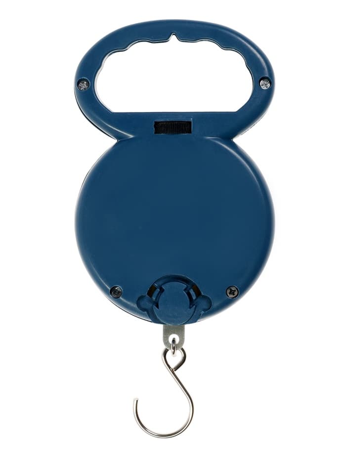 Безмен LVB-1001, механический, до 10 кг, цена деления 100 г синий