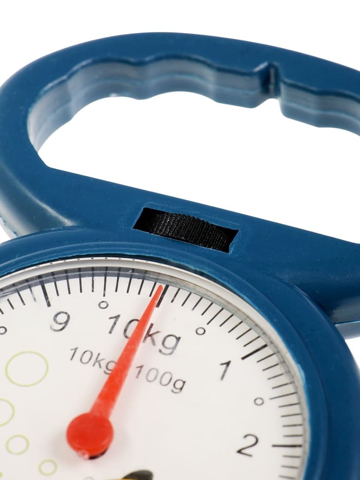 Безмен LVB-1001, механический, до 10 кг, цена деления 100 г синий