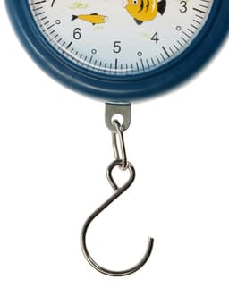 Безмен LVB-1001, механический, до 10 кг, цена деления 100 г синий