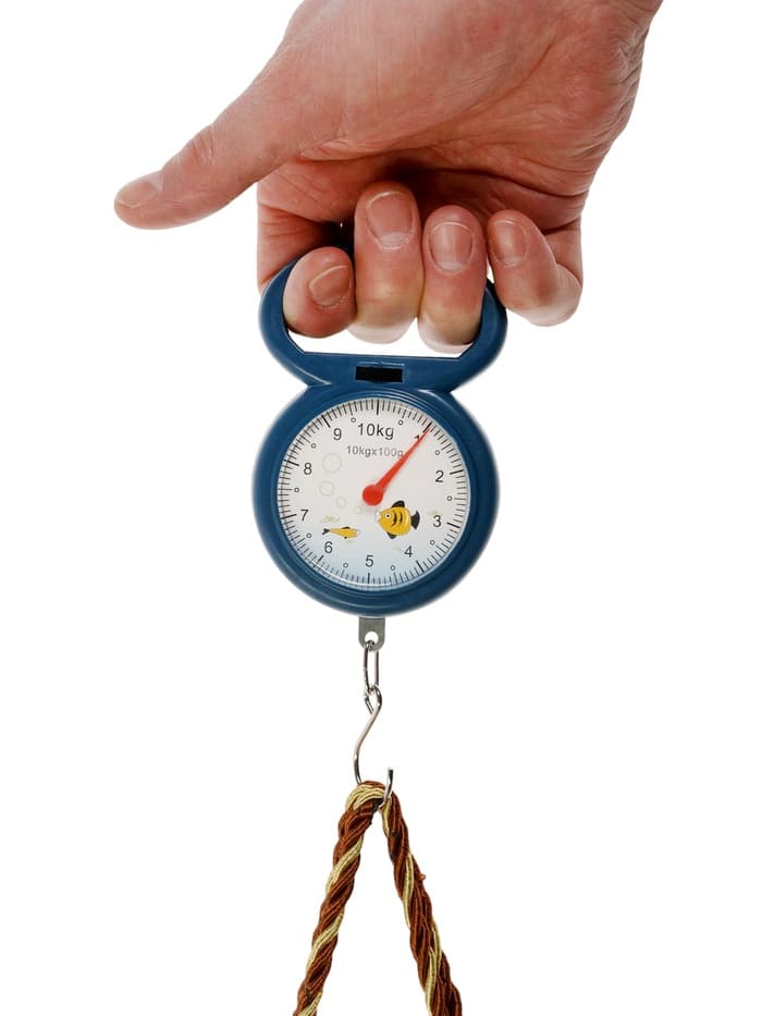 Безмен LVB-1001, механический, до 10 кг, цена деления 100 г синий