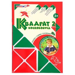 Развивающая игра «Квадрат Воскобовича», 2 цвета