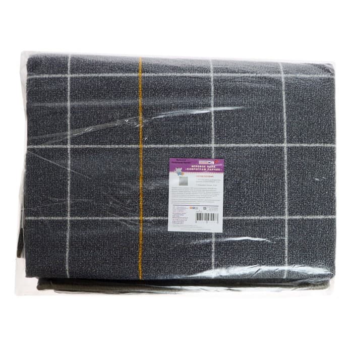 Развивающий комплект «Коврограф Ларчик» + методичка