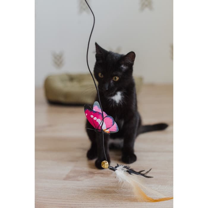 Дразнилка «Бабочка», с перьями, цвет МИКС