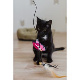 Дразнилка «Бабочка», с перьями, цвет МИКС