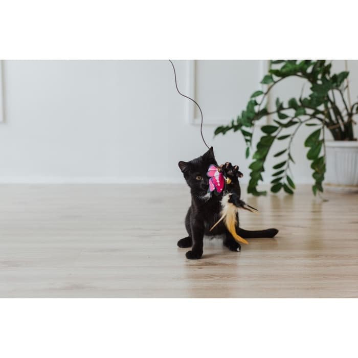 Дразнилка «Бабочка», с перьями, цвет МИКС