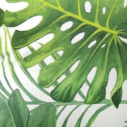 Постельное бельё дуэт «Этель. Монстера», поплин