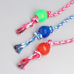 Игрушка-дразнилка для собак, с мячиком, 95 г, до 54 см, цвет МИКС
