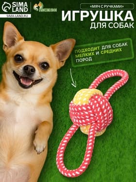 Игрушка канатная «Мяч с ручками», до 35 г, мяч 6 см, цвет МИКС