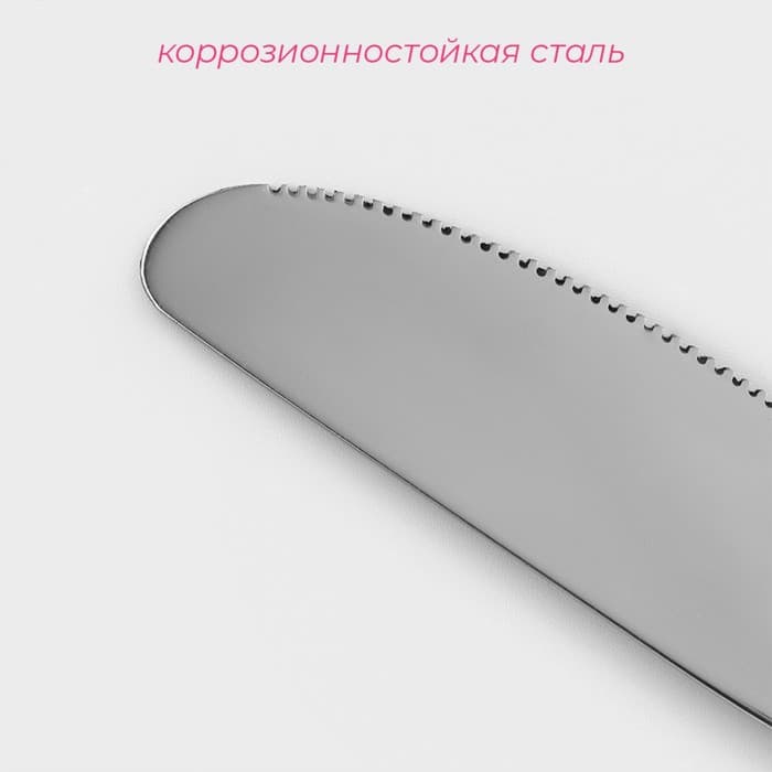 Нож столовый из нержавеющей стали Доляна «Соня», длина 20.5 см, толщина 2 мм, серебристый