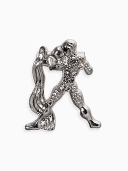 Брошь «Знаки зодиака», ассорти, гороскоп, белая в серебре