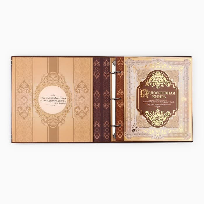 Родословная книга с рамкой под фото «Семейная летопись», 50 листов, 21.5×23.7 см