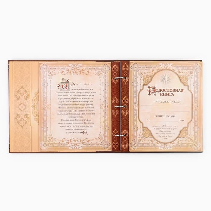 Родословная книга с рамкой под фото «Семейная летопись», 50 листов, 21.5×23.7 см