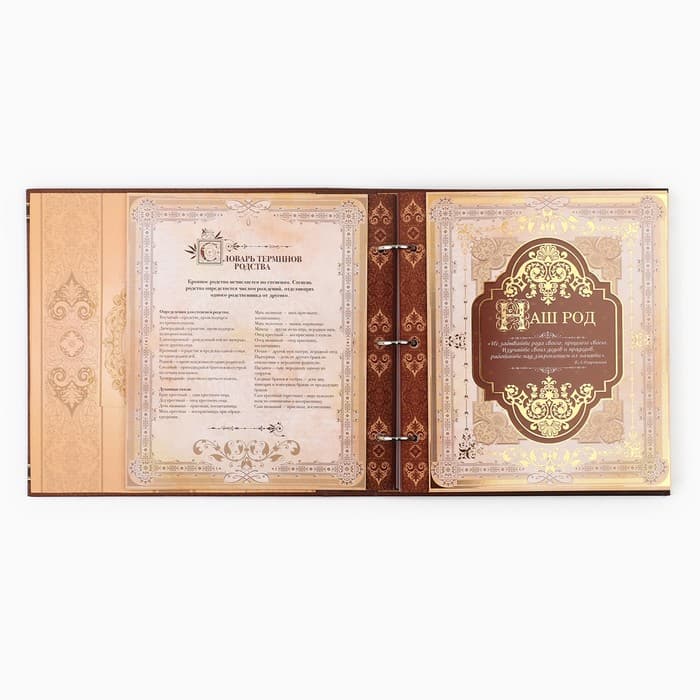 Родословная книга с рамкой под фото «Семейная летопись», 50 листов, 21.5×23.7 см